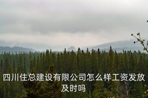 四川住總建設有限公司怎么樣工資發放及時嗎