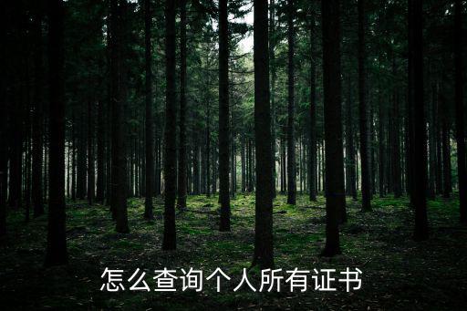個人證書查詢網，怎么查詢個人所有證書