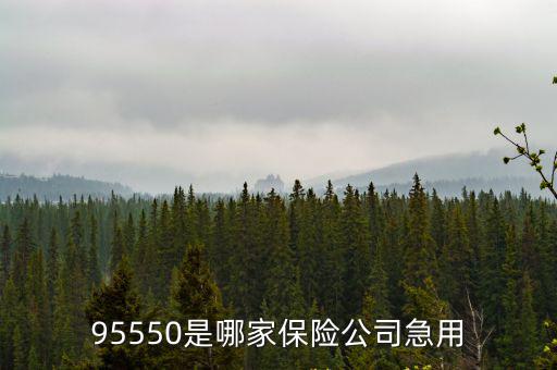 95550是哪家保險公司急用