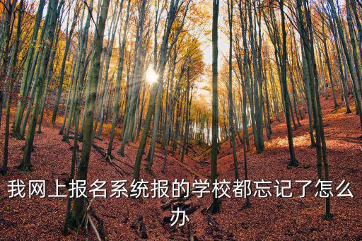 我網上報名系統報的學校都忘記了怎么辦
