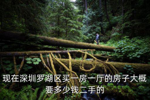 現在深圳羅湖區買一房一廳的房子大概要多少錢二手的