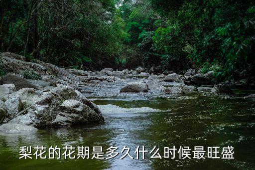 梨花花期，梨花的花期是多久什么時候最旺盛