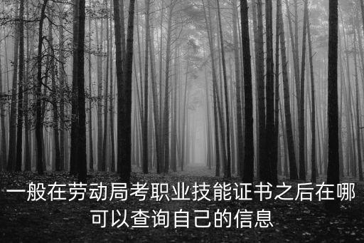 一般在勞動局考職業技能證書之后在哪可以查詢自己的信息