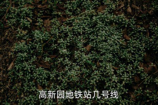高新園地鐵站幾號線