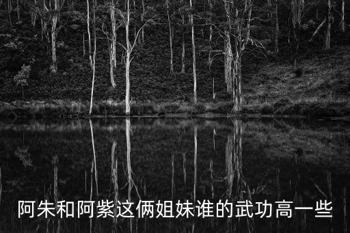 阿朱和阿紫這倆姐妹誰的武功高一些