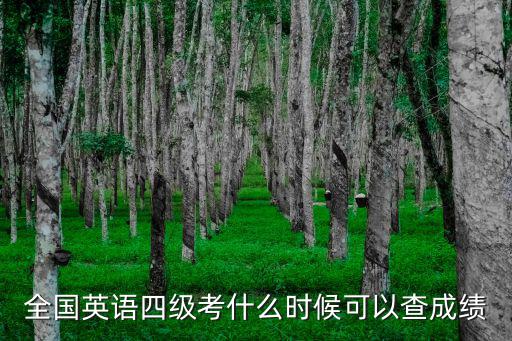 全國英語四級考什么時候可以查成績