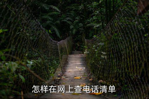 怎樣在網(wǎng)上查電話清單