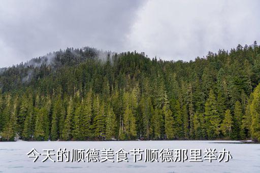 今天的順德美食節順德那里舉辦