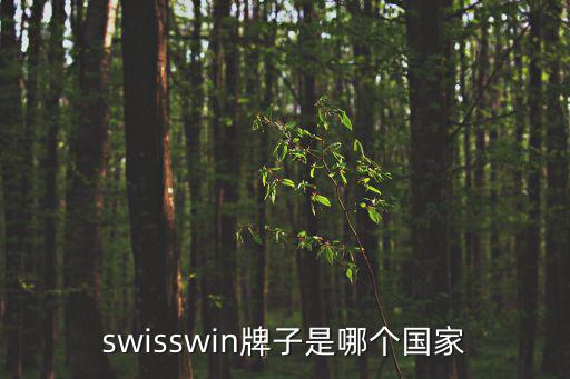 swisswin牌子是哪個國家