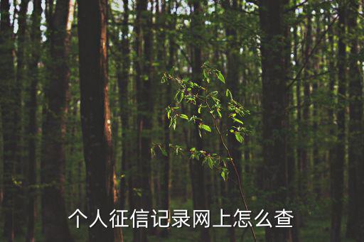 個人征信記錄網上怎么查