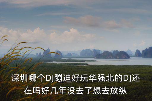 深圳哪個DJ蹦迪好玩華強北的DJ還在嗎好幾年沒去了想去放縱