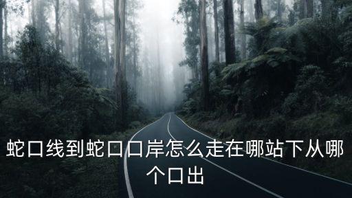 蛇口線，蛇口線是幾號線