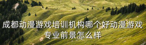 成都動(dòng)漫游戲培訓(xùn)機(jī)構(gòu)哪個(gè)好動(dòng)漫游戲?qū)I(yè)前景怎么樣