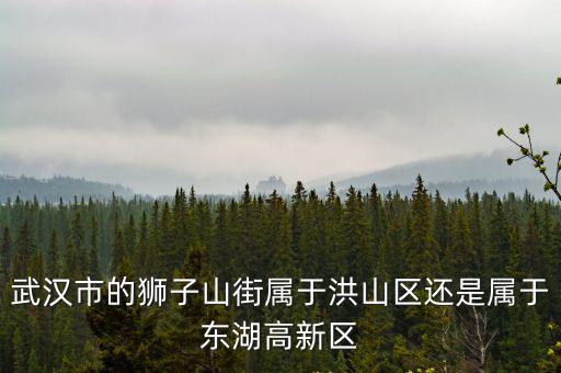 武漢市的獅子山街屬于洪山區還是屬于東湖高新區