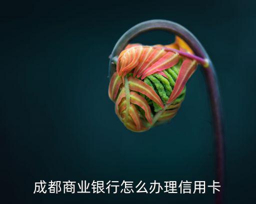 成都商業(yè)銀行怎么辦理信用卡