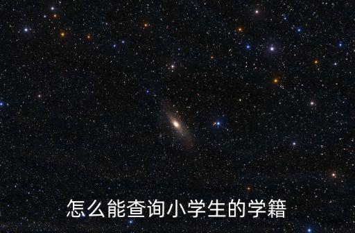 怎么能查詢小學生的學籍