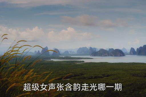 超級女聲張含韻走光哪一期