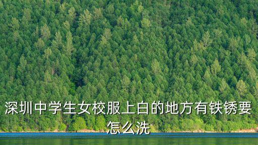 深圳中學生女校服上白的地方有鐵銹要怎么洗