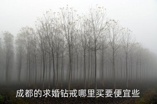 成都求婚，成都的求婚鉆戒哪里買要便宜些