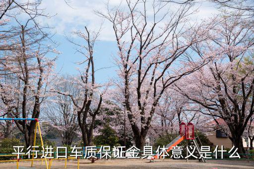 平行進(jìn)口車質(zhì)保證金具體意義是什么