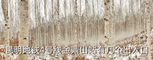 4號(hào)線地鐵，昆明地鐵4號(hào)線到底什么時(shí)候開(kāi)通