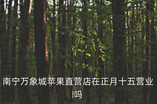 南寧萬象城蘋果直營店在正月十五營業(yè)嗎