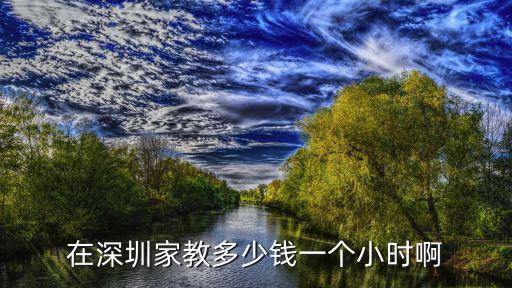 在深圳家教多少錢一個小時啊