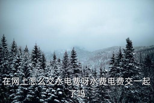 在網上怎么交水電費呀水費電費交一起了嗎