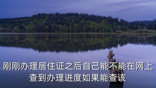 個人居住證網上查詢，剛剛辦理居住證之后自己能不能在網上查到辦理進度如果能查該