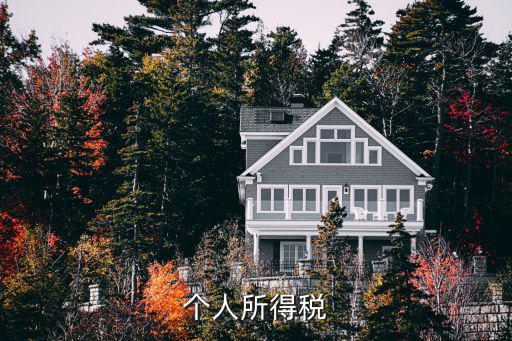 個人所得稅