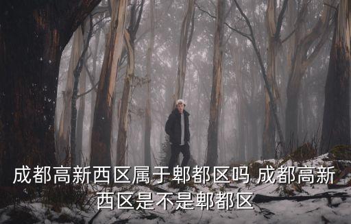 成都高新西區，成都市高新西區屬于哪個區