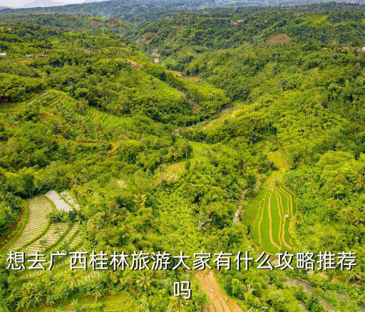 想去廣西桂林旅游大家有什么攻略推薦嗎