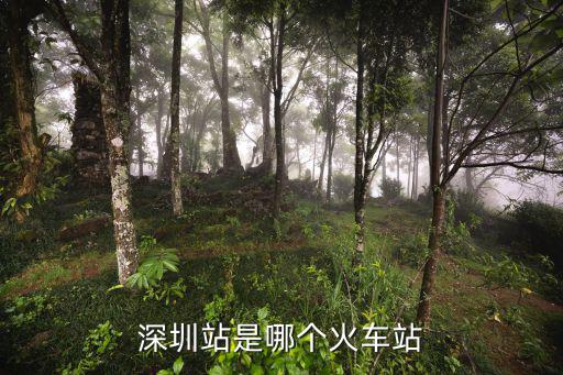 深圳站是哪個火車站