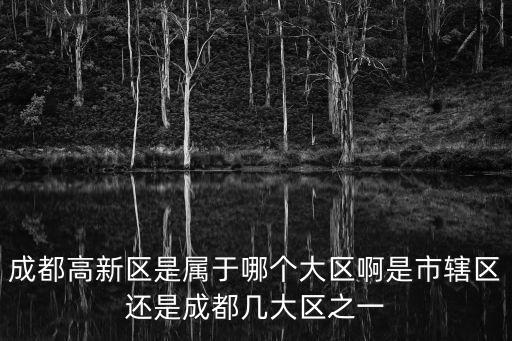 成都高新區(qū)是屬于哪個(gè)大區(qū)啊是市轄區(qū)還是成都幾大區(qū)之一