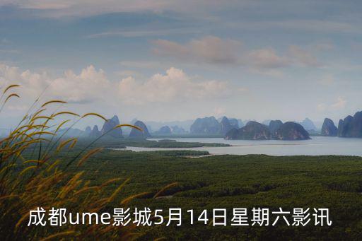 成都影訊，成都金沙紫荊電影城票價
