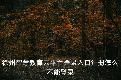徐州智慧教育云平臺登錄入口注冊怎么不能登錄
