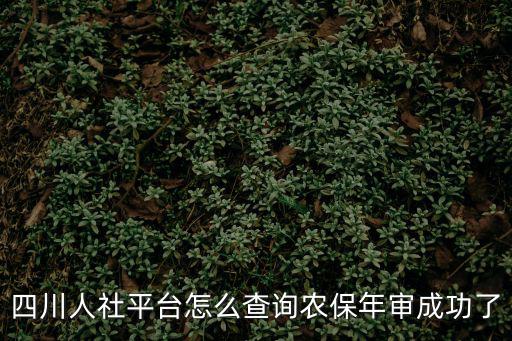 四川人社平臺怎么查詢農保年審成功了