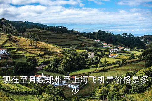 現在至月底鄭州至上海飛機票價格是多少