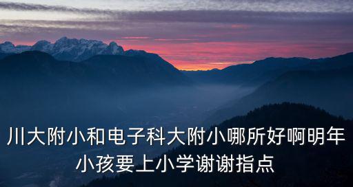 川大附小和電子科大附小哪所好啊明年小孩要上小學謝謝指點