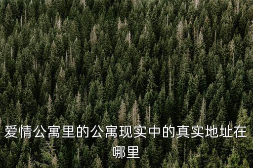 愛(ài)情公寓里的公寓現(xiàn)實(shí)中的真實(shí)地址在哪里