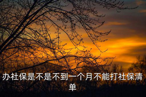 社保清單，社保清單能在銀行打印嗎