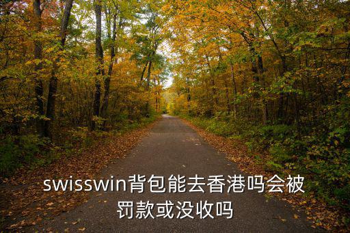 swisswin背包能去香港嗎會被罰款或沒收嗎