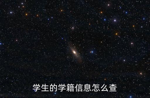 學生的學籍信息怎么查