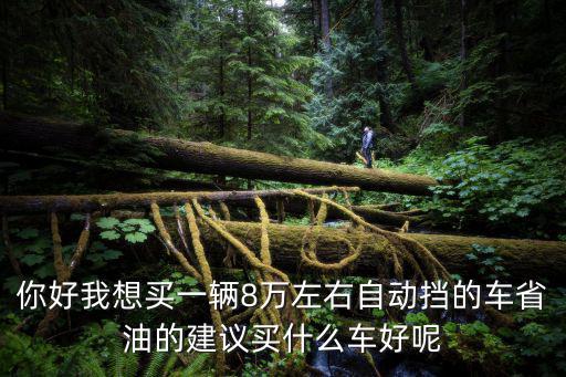 你好我想買一輛8萬左右自動擋的車省油的建議買什么車好呢