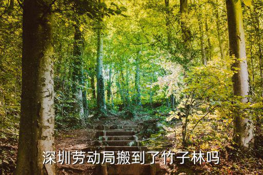 深圳勞動局搬到了竹子林嗎