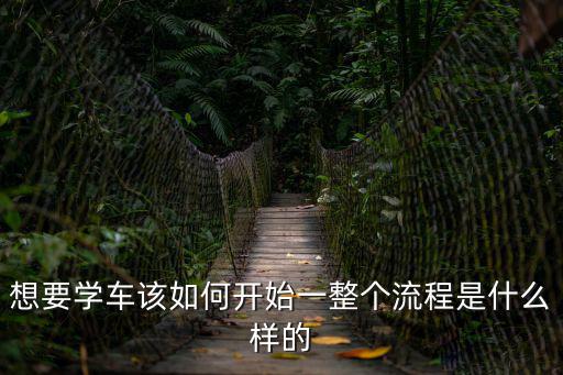 想要學(xué)車該如何開始一整個(gè)流程是什么樣的