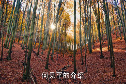 何見平的介紹
