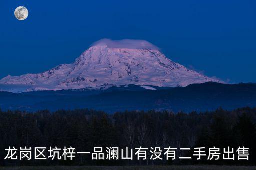 龍崗區坑梓一品瀾山有沒有二手房出售