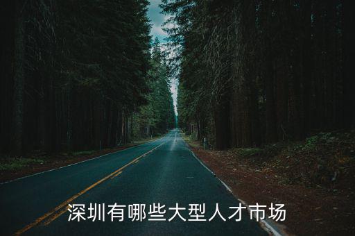 深圳人才中心，深圳最大最權威的人才中心在什么地方全名叫啥我想要辦理檔案托
