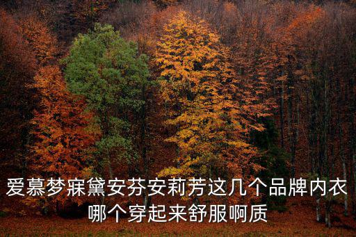 愛慕夢寐黛安芬安莉芳這幾個品牌內衣哪個穿起來舒服啊質